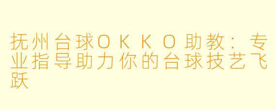 抚州台球OKKO助教:专业指导助力你的台球技艺飞跃