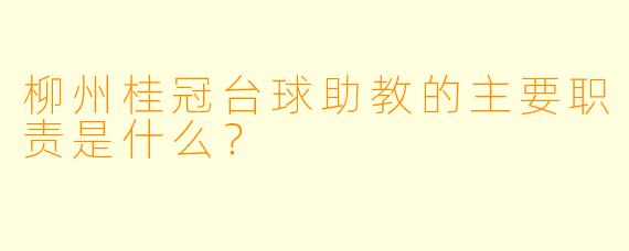 柳州桂冠台球助教的主要职责是什么？