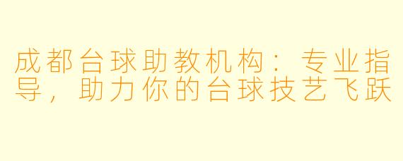 成都台球助教机构：专业指导，助力你的台球技艺飞跃
