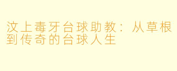 汶上毒牙台球助教：从草根到传奇的台球人生
