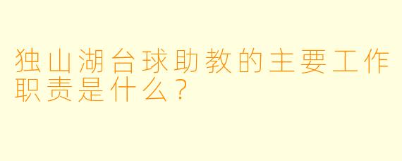独山湖台球助教的主要工作职责是什么？