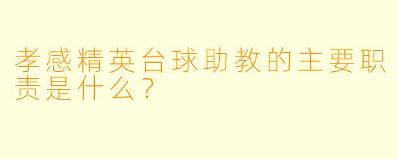 孝感精英台球助教的主要职责是什么？