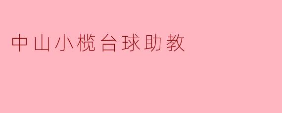中山小榄的台球助教主要提供哪些服务?