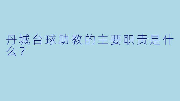 丹城台球助教的主要职责是什么？