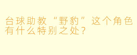 台球助教“野豹”这个角色有什么特别之处？