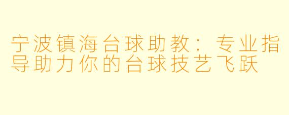 宁波镇海台球助教:专业指导助力你的台球技艺飞跃
