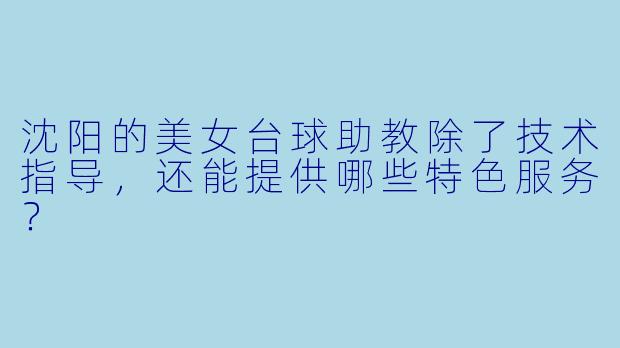 沈阳的美女台球助教除了技术指导,还能提供哪些特色服务?
