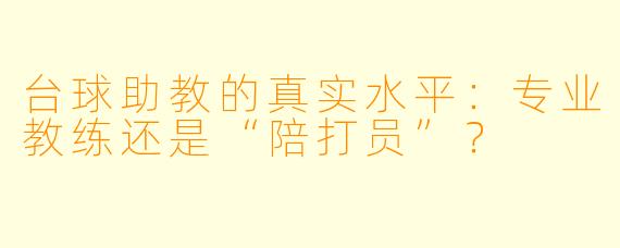 台球助教的真实水平:专业教练还是“陪打员”?