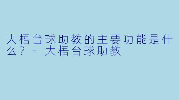 大梧台球助教的主要功能是什么？-大梧台球助教
