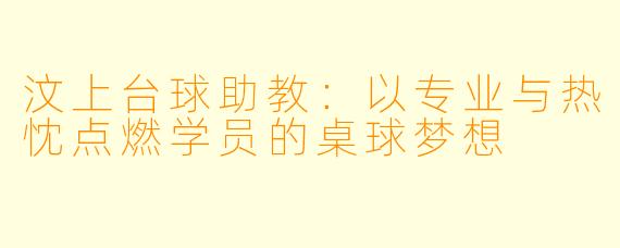 汶上台球助教:以专业与热忱点燃学员的桌球梦想