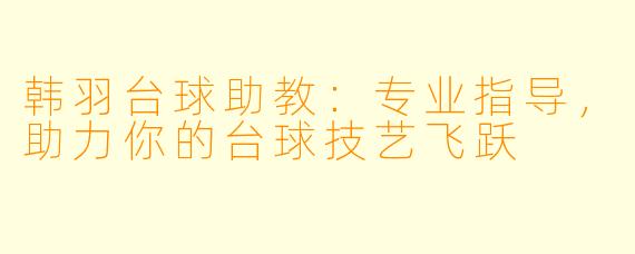 韩羽台球助教:专业指导,助力你的台球技艺飞跃
