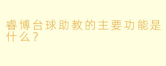 睿博台球助教的主要功能是什么？