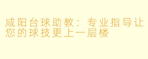 咸阳台球助教:专业指导让您的球技更上一层楼