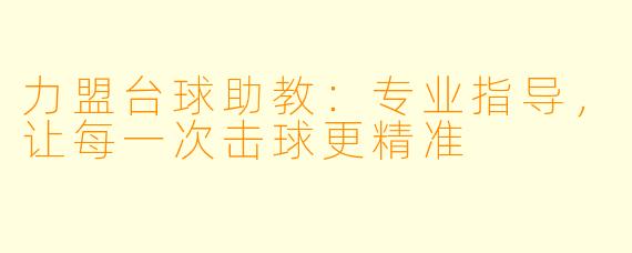 力盟台球助教:专业指导,让每一次击球更精准