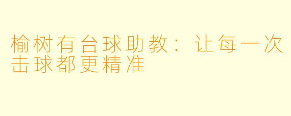 榆树有台球助教:让每一次击球都更精准