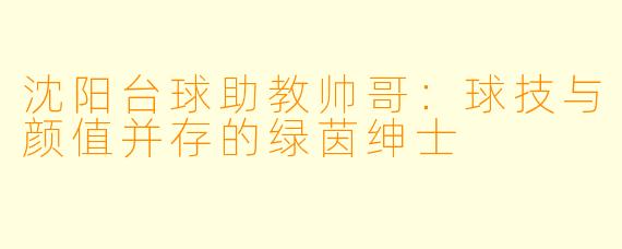 沈阳台球助教帅哥:球技与颜值并存的绿茵绅士