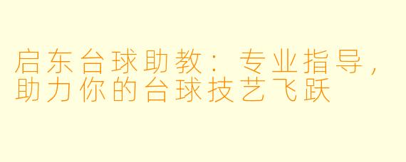 启东台球助教:专业指导,助力你的台球技艺飞跃