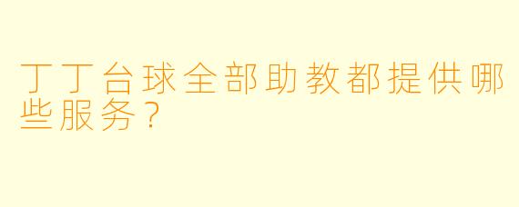 丁丁台球全部助教都提供哪些服务？