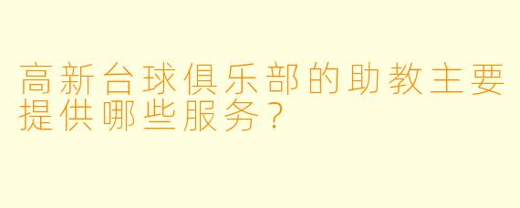 高新台球俱乐部的助教主要提供哪些服务？