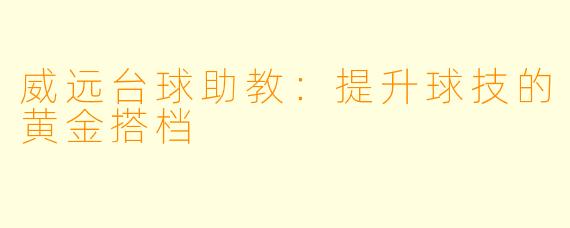 威远台球助教:提升球技的黄金搭档