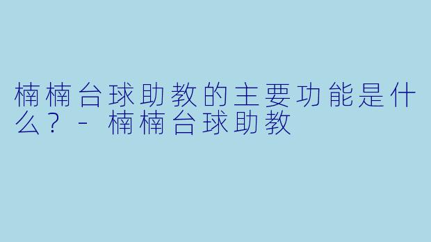 楠楠台球助教的主要功能是什么？-楠楠台球助教