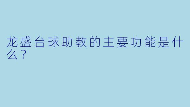 龙盛台球助教的主要功能是什么？