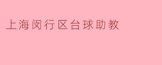 上海闵行区台球助教