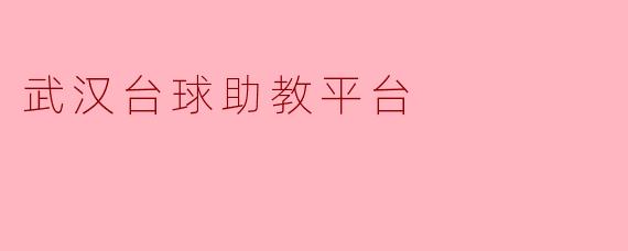 武汉台球助教平台