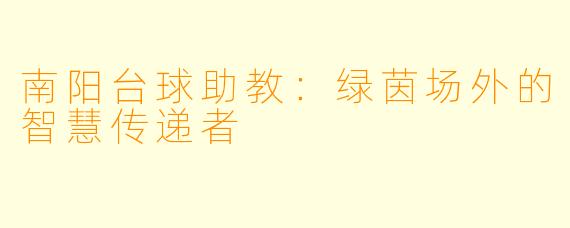 南阳台球助教：绿茵场外的智慧传递者