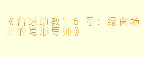 《台球助教16号：绿茵场上的隐形导师》