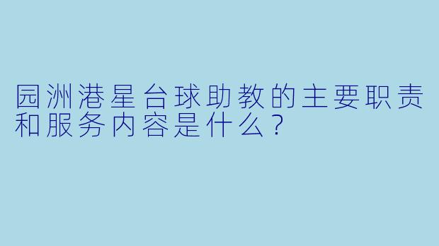 园洲港星台球助教的主要职责和服务内容是什么？