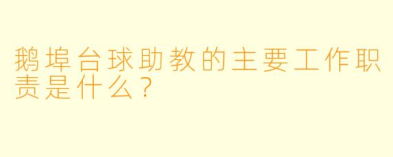 鹅埠台球助教的主要工作职责是什么？