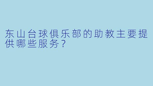 东山台球俱乐部的助教主要提供哪些服务？