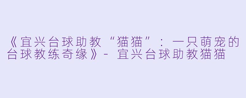 《宜兴台球助教“猫猫”:一只萌宠的台球教练奇缘》-宜兴台球助教猫猫