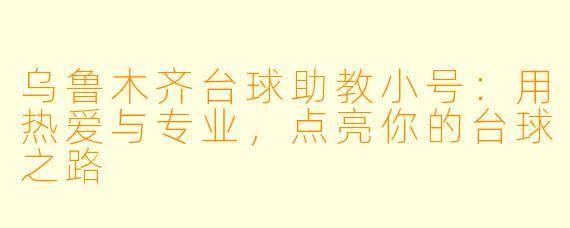 乌鲁木齐台球助教小号:用热爱与专业,点亮你的台球之路