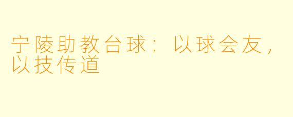 宁陵助教台球:以球会友,以技传道