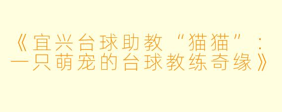《宜兴台球助教“猫猫”:一只萌宠的台球教练奇缘》