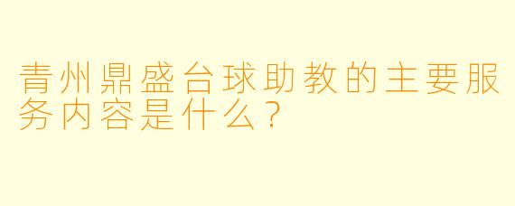 青州鼎盛台球助教的主要服务内容是什么？