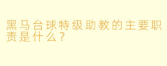 黑马台球特级助教的主要职责是什么?