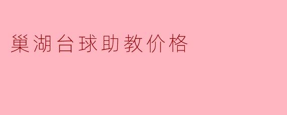 巢湖台球助教价格