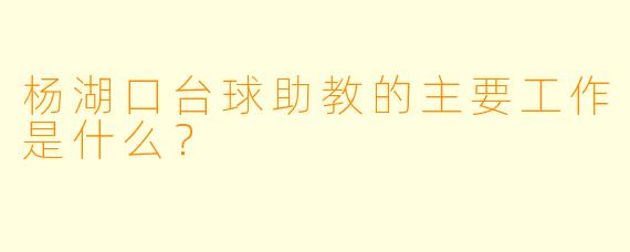 杨湖口台球助教的主要工作是什么？