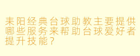 耒阳经典台球助教主要提供哪些服务来帮助台球爱好者提升技能？