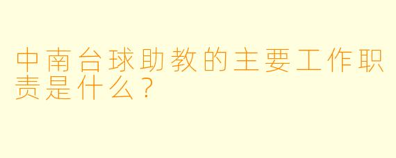 中南台球助教的主要工作职责是什么？