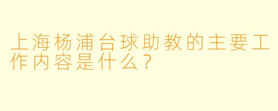 上海杨浦台球助教的主要工作内容是什么？