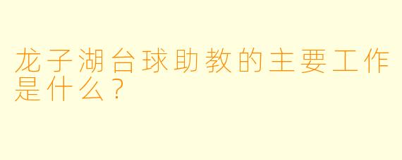 龙子湖台球助教的主要工作是什么？