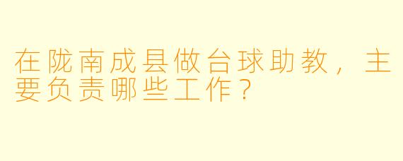 在陇南成县做台球助教，主要负责哪些工作？