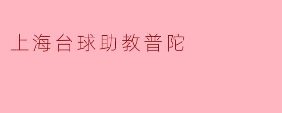 上海普陀区有哪些提供专业台球助教服务的场所或机构？