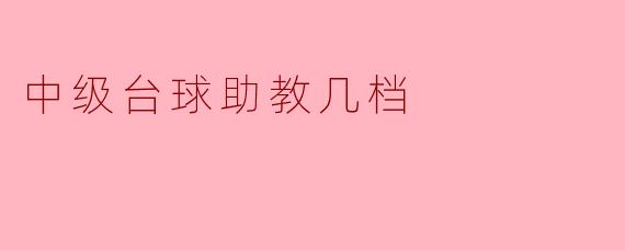 中级台球助教几档