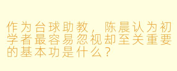 作为台球助教，陈晨认为初学者最容易忽视却至关重要的基本功是什么？
