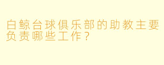 白鲸台球俱乐部的助教主要负责哪些工作？